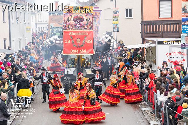 Foto Laudi_faschingszug_pleinting-84.jpg